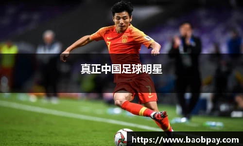 真正中国足球明星